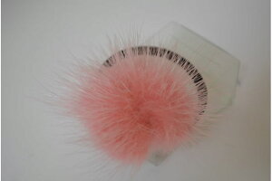 CON~N45 ~Nt@[@wASij@t@[@{{@Ԃ@wAANZT[@wAANZ@@߁@wA@܂Ƃߔ@fB[X@l@q@LbY