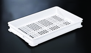 򕌃vX`bNH R Rei #250II 16L ZʂɎ茊L ( X RISU pR pRei[ HipRei[ ΂񂶂イ ԏd p Hig[ mَq aَq p  