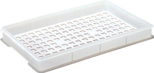 Ob TR[ Tei[B#12-2ylzszyiyEEjjwsz