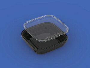 TP[XK100-2pt^  ގPS HipbP[W {̕ʔ 700057