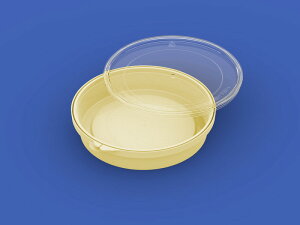 �T���P�[�XC300-3 �e��0.3L �{�̂̂� �J���[2�F �H�i�p�b�P�[�W ����p�t�^�͕ʔ���40013400