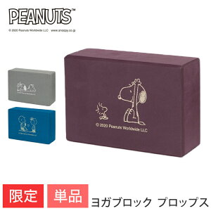 ブロック スヌーピーの人気商品 通販 価格比較 価格 Com