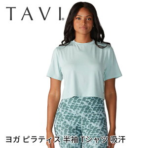 ySSő300~OFFN[|zy80%OFFzgbvX TAVI Nbv Tee {Ki Crop Tee TVc  V[g Jbg\[ K seBX Nbvh uh lC   fB