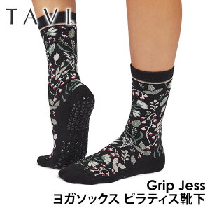 ^r seBXC KC TAVI WFX {Ki Jess seBX\bNX K\bNX 25FW ~ߕtC VR KEFA N[ ӂ͂  RbguKHv