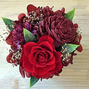 _P5{^ Mtg vU[uht[ ~j AWg ܂ V[ v` v[g Iׂ 8 JX^}CY Z~I[_[ 킢  S  a j  o