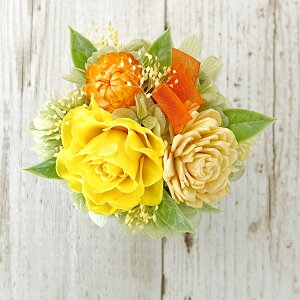 _X[p[Z[ 10%OFF^ Mtg vU[uht[ ~j AWg ܂ V[ v` v[g Iׂ 8 JX^}CY Z~I[_[ 킢  S  a