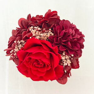 _X[p[Z[ 30%OFF^ Mtg vU[uht[ 1000~ȉ v` AWg JbvAW v[g Iׂ 7 킢 ~j  S  a j  oY 