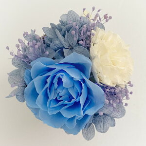 _X[p[Z[ 30%OFF^ Mtg vU[uht[ 1000~ȉ v` AWg JbvAW v[g Iׂ 7 킢 ~j  S  a j  oY 