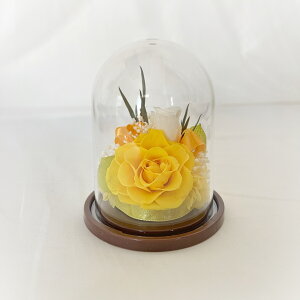 _X[p[Z[ 10%OFF^ Mtg vU[uht[ ~j Mtg t[AW j[ ~jh[ Iׂ 10J[ vX`bN y S a  LO  S  \