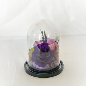 _X[p[Z[ 10%OFF^ Mtg vU[uht[ ~j Mtg t[AW j[ ~jh[ Iׂ 10J[ vX`bN y S a  LO  S  \