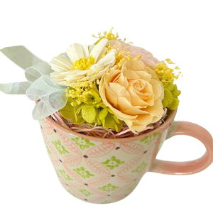 vU[uht[ }Ot[ `Mug flower` AW }OJbv Zbg Mtg \t[ t[ AWg sN CG[ v[g   LO a  