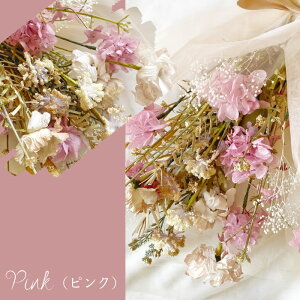Mtg vU[uht[ tFCNt[ XbO Olivia IrA hCt[  AWg ԑ  Ǌ| i` JWA t[  a j v