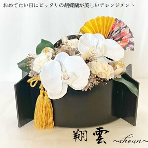  vU[uht[ Mtg ĉ_`shoun` AW  N aAW a_    A[eBtBVt[ Ӓ  v[g  ō