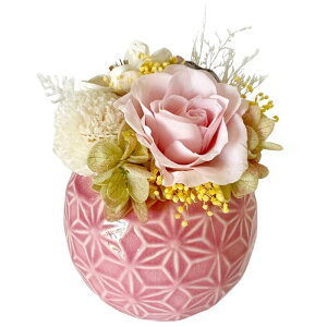 Mtg vU[uht[ Ă܂ a a_ AW c c a  AWg t[ v` v[g j   茳{  䋟  a LO