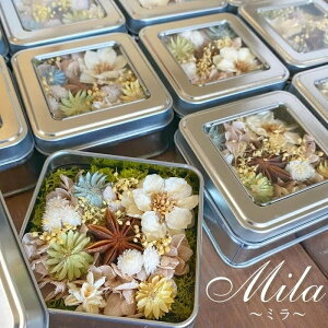 _P5{^ v` Mtg Mila ~ vU[uht[ hCt[ \[[t[ AWg  i` ؍ t[ hC  a j v[g Ԃ ei