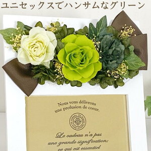 _X[p[Z[ 10%OFF^ Mtg vU[uht[ ʐ^ t[ tHgt[ AW  v[g   ō a LO LO 蕨   oY 