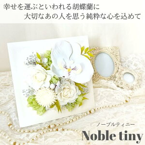 Mtg vU[uht[ m[ueBj[ `Nobletiny` AW  AWg A[eBtBVt[ v[g  oY Vz j X^h Ċ| Ǌ|  