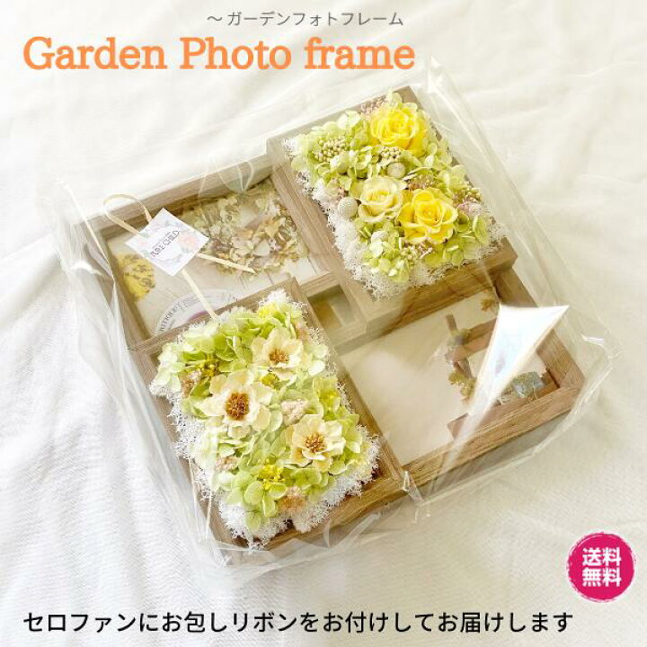 楽天市場】プリザーブドフラワー ギフト おすすめ ガーデンフォトフレーム アレンジ 花 プ アレンジメント フラワー プレゼント 祝い 女性 送料無料 誕生日 結婚記念日 送別会 発表会 贈り物 お礼 母 女性 かわいい 両親 : プリザーブドフラワーのPURE CHILD 楽天市場】プリザーブドフラワー ギフト おすすめ ガーデンフォトフレーム アレンジ 花 プ アレンジメント フラワー プレゼント 祝い 女性 送料無料 誕生日 結婚記念日 送別会 発表会 贈り物 お礼 母 女性 かわいい 両親 : プリザーブドフラワーのPURE CHILD