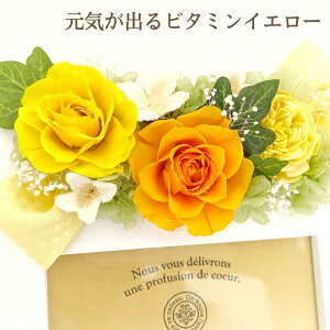 Mtg vU[uht[ ʐ^ t[ tHgt[ AW  v[g   ō a LO LO 蕨   oY JX J Vz ސE N 