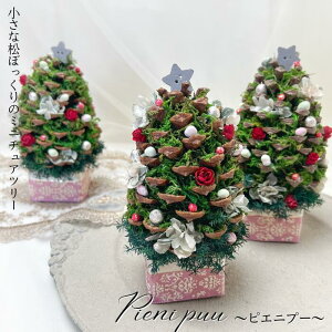 Mtg Pieni puu `sGjv[` vU[uht[ hC NX}X c[ ~j AWg v` Mtg ڂ v[g NX}X  j LO a  