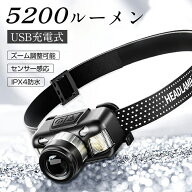 【正規品】ヘッドライト 充電式 LED 作業用 ヘッドランプ 軽量 キャンプ 釣り 作業 地震 停電 非常時用 …
