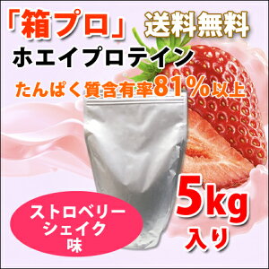 RXpŋ  5kg zGCveC Xgx[VFCN ňl풆 v ؃g g[jO  `[ ؓ Y 싅 Or[ {fBr  w Z w C