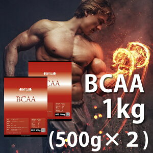  BCAA 1kgi500g×2j Y Y H ؃g g[jO _CGbg oNAbv {fBCN  싅 Atg Or[ ؓ A`J^{bN 10