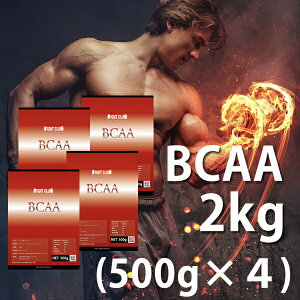  BCAA 2kgi500g×4j Y Y H ؃g g[jO _CGbg oNAbv {fBCN  싅 Atg Or[ ؓ A`J^{bN 10