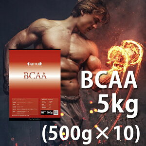  BCAA 5kg i500g×10jY Y H ؃g g[jO _CGbg oNAbv {fBCN  싅 Atg Or[ ؓ A`J^{bN 10