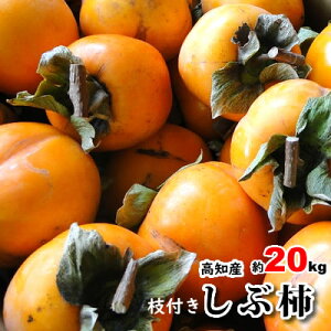 mY a` Vu` a`@20kg@`p@邵`p@炵`p@kCE͕ʓrKvłB