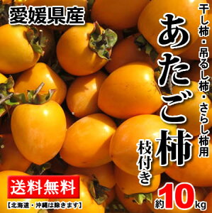 yzA^S` `@` a` Vu` 10kg@`p@邵`p@炵`p@kCE͕ʓrKvłB