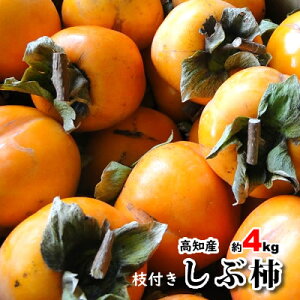 yzmY a` Vu`@Ԋ`@a`@4kg@`p@邵`p@炵`p@kCE͕ʓrKvłB