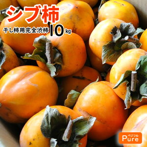 mY@a` Vu` Ԋ`@a` 10kg@`p@邵`p@炵`p@kCE͕ʓrKvłB