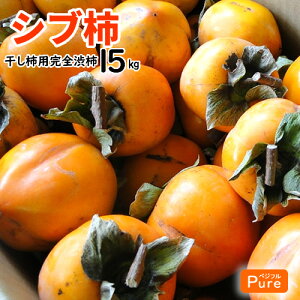 mY@Ԋ`@a`@Vu`@a`@15L@`p@邵`p@炵`p@kCE͕ʓrKvłB