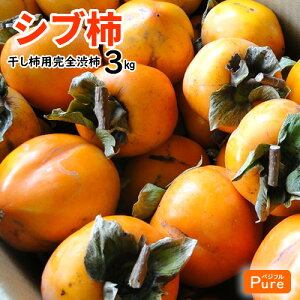 mY@a` Vu` Ԋ`@a` 3kg@`p@邵`p@炵`p@kCE͕ʓrKvłB