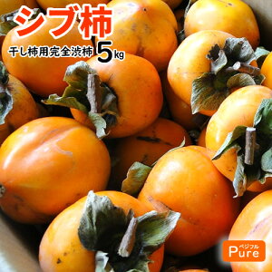 mY@a` Vu` Ԋ`@a` 5kg@`p@邵`p@炵`p@kCE͕ʓrKvłB