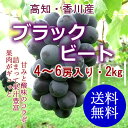 8月中旬〜発送【送料無料】高知・香川産ブラックビートぶどう3〜6房入り約2kg北海道・沖縄送料500円10P23Aug15 ランキングお取り寄せ