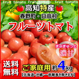 送料無料・高知産フルーツトマト約4kgご家庭用北海道1000円・沖縄1500円送料ご負担下さい。高知トマトサミット母の日父の日05P18Jun16