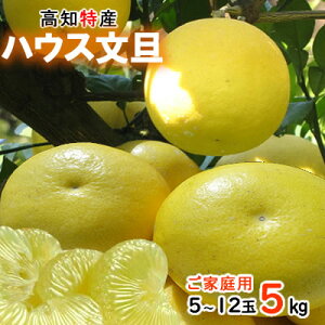 yzyƒpzmY@yU@nEX@U5kg@6ʁ`10ʓ@u^@U@񂹁@yY@kCʓrKvłB