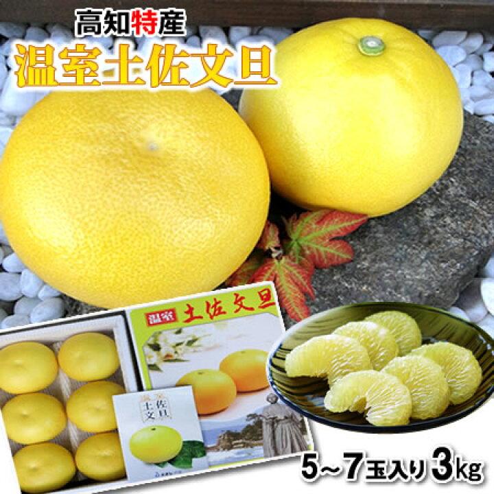 楽天市場】【送料無料】【ギフト用】高知産 温室土佐文旦 ハウス文旦 