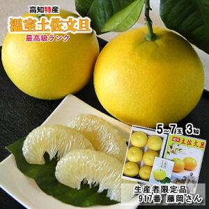 yYҌi917ԓzōN@mY@nEXU@3kg@(kCE͕ʓrKvł)@Ε@~̃Mtg@ZIP! Wbv