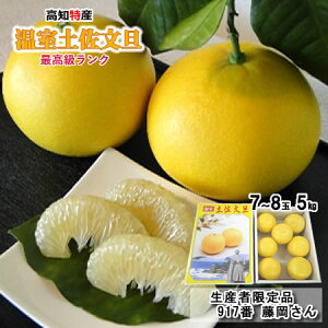 yYҌi917ԓzōN@mY@nEXU@5kg@(kCE͕ʓrKvł)@Ε@~̃Mtg