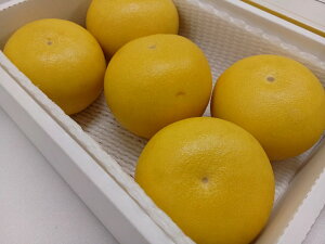 yzyƒpzmY@yU@nEX@U5kg@6ʁ`12ʓ@u^@U@񂹁@yY@kCʓrKvłB