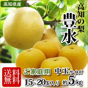 yzmEY Lƒp5kg(15ʁ`20ʖkC1000~Eꑗ1500~