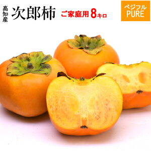 yzmYEY`7.5`8kg育ƒpkC1000~E͑1500~E`EÊ`10P22Nov12yRCPz10P30Nov14