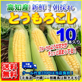 6月より発送予定　高知産とうもろこし・ゴールドラッシュ・味来ミライ10本入り約3kg北海道1000円・沖縄は送料1500円