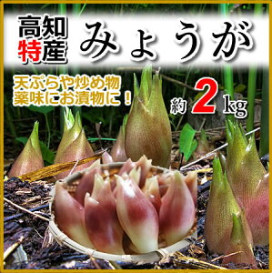 mYE݂傤2kgv~AIɂۂ{s@kCEꑗ1500~