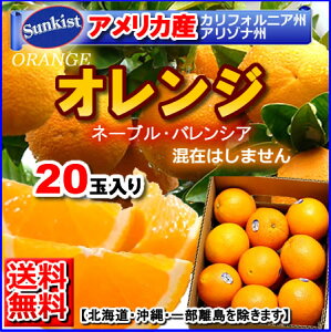 オレンジ フルーツの通販 価格比較 価格 Com