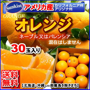 ネーブルオレンジ フルーツの人気商品 通販 価格比較 価格 Com