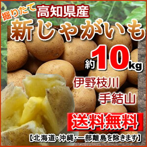 mႪ10kgn鏒WKCt@kC͕ʓrKvł